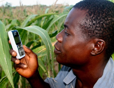 mobile phone in agriculture