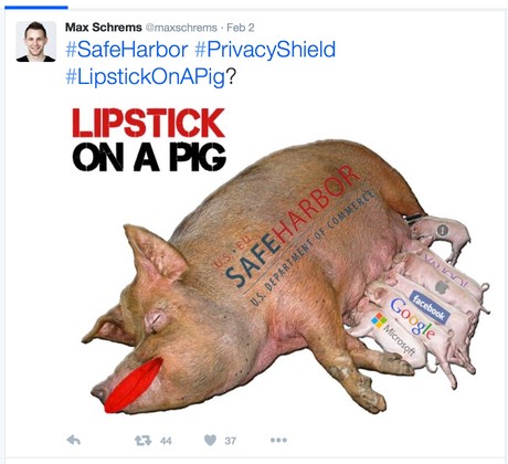 Privacy Shield-Lipstick on a Pig-Max Schrems