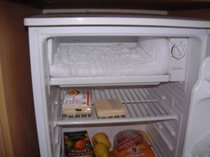 Frozen food in fridge