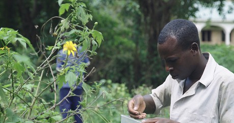 Gathering seeds from the Organic Demonstration Farm