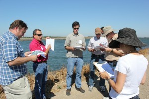 Bouldin Island Tour