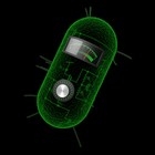 MIT Synthetic Biology Circuits, conceptual